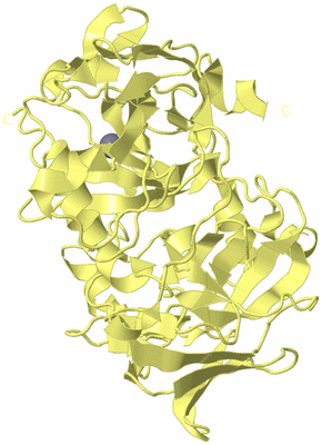 Image Biological Unit 4