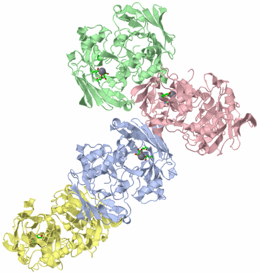 Image Asym. Unit - sites