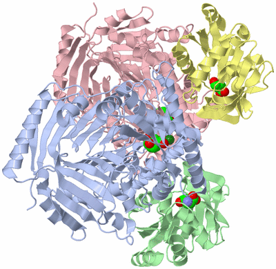 Image Asym./Biol. Unit