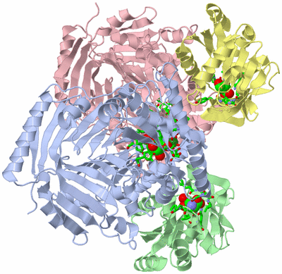 Image Asym./Biol. Unit - sites