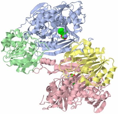 Image Asym./Biol. Unit