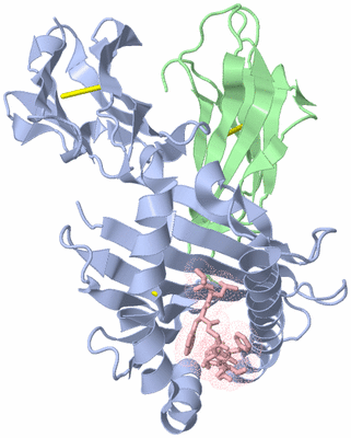 Image Biological Unit 1