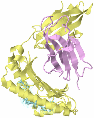 Image Biological Unit 2