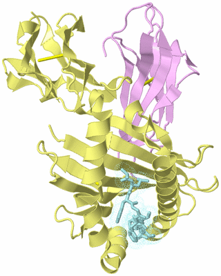 Image Biological Unit 2