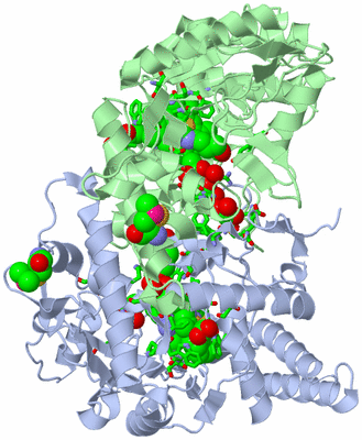 Image Asym./Biol. Unit - sites