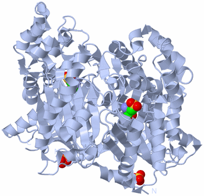 Image Biological Unit 1