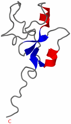 Image NMR Structure - model 1