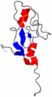 Image NMR Structure - model 1