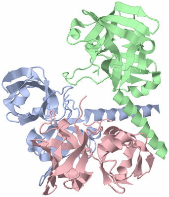 Image Asym./Biol. Unit