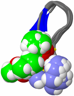 Image NMR Structure - all models