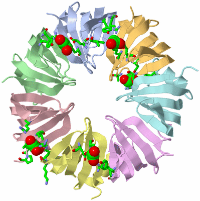 Image Asym./Biol. Unit - sites