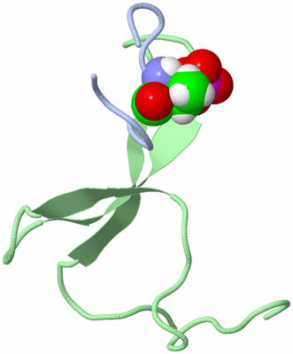 Image NMR Structure - model 1