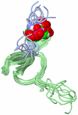 Image NMR Structure - all models