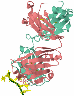 Image Biol. Unit 1 - sites