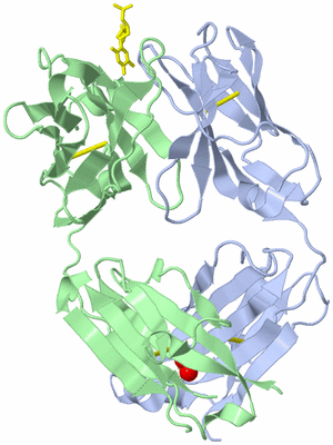 Image Biological Unit 2