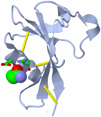 Image Biol. Unit 1 - sites