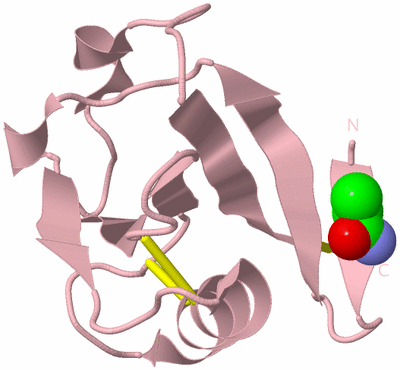 Image Biological Unit 3