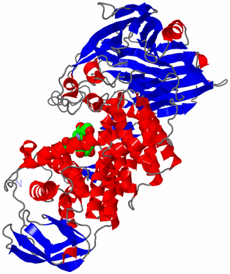 Image Asym./Biol. Unit