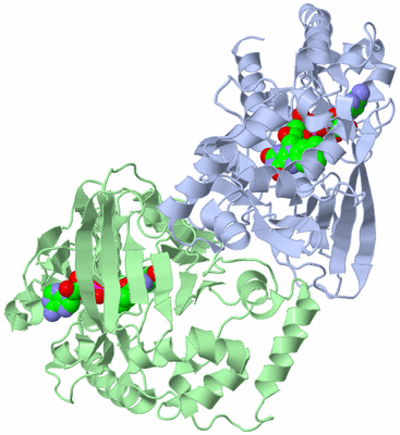 Image Asym./Biol. Unit