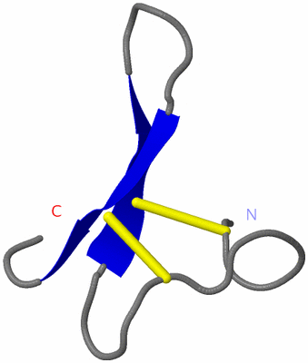 Image NMR Structure - model 1