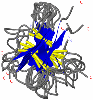 Image NMR Structure - all models