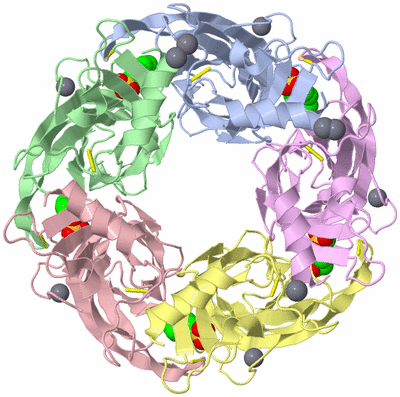 Image Biological Unit 1