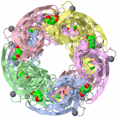 Image Biological Unit 2