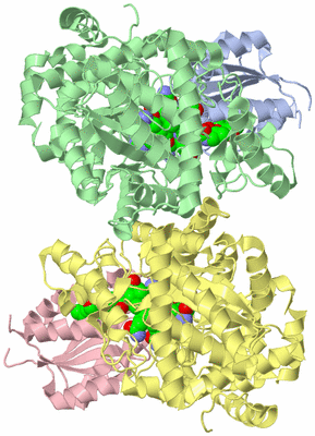 Image Asym./Biol. Unit