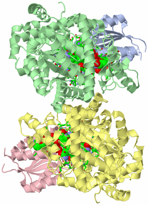 Image Asym./Biol. Unit - sites