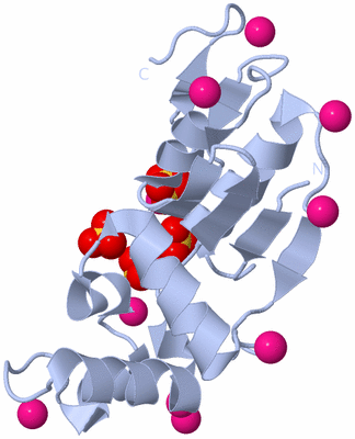 Image Biological Unit 1