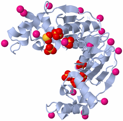 Image Biological Unit 3