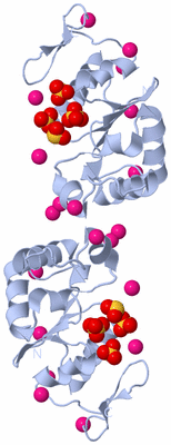 Image Biological Unit 4