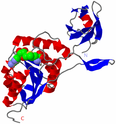 Image Asymmetric Unit