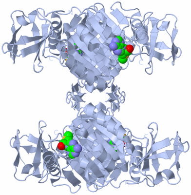 Image Biological Unit 2