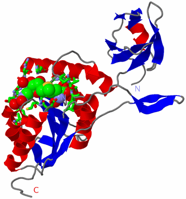 Image Asym. Unit - sites