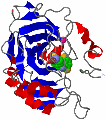 Image Asym./Biol. Unit