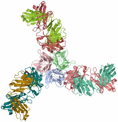 Image Asym./Biol. Unit