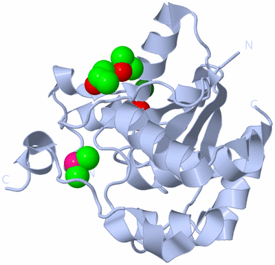 Image Biological Unit 1