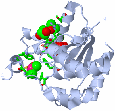 Image Biol. Unit 1 - sites