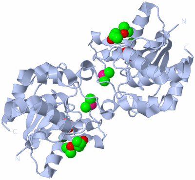 Image Biological Unit 3