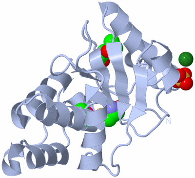 Image Biological Unit 1