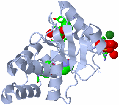 Image Biol. Unit 1 - sites