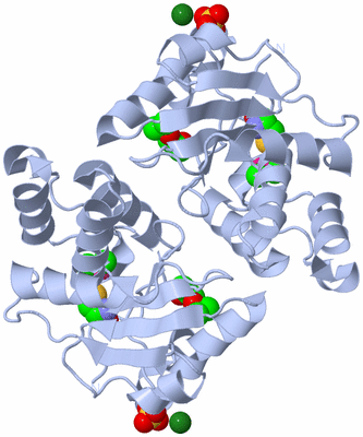 Image Biological Unit 3