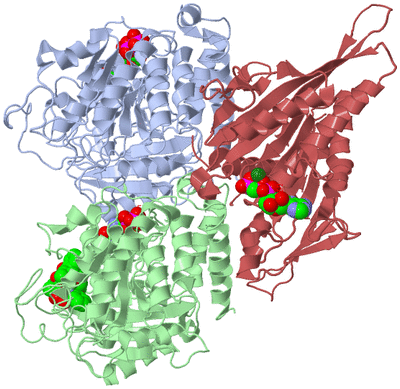 Image Asym./Biol. Unit