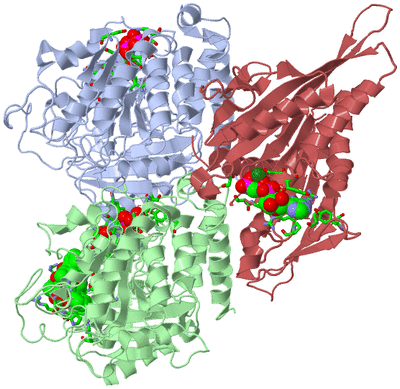 Image Asym./Biol. Unit - sites