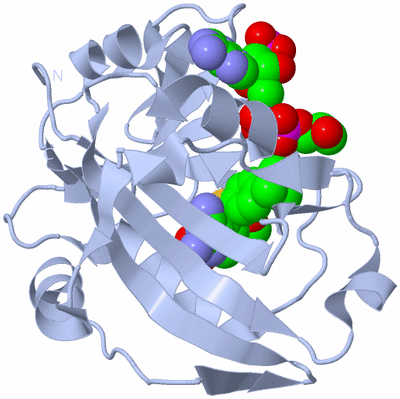 Image Biological Unit 1