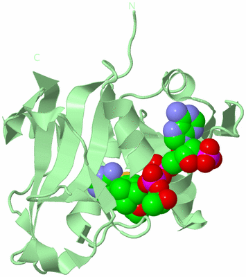 Image Biological Unit 2