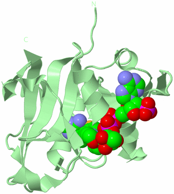 Image Biological Unit 2