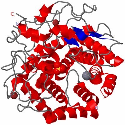 Image Asym./Biol. Unit