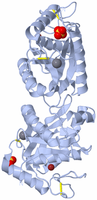 Image Biological Unit 1